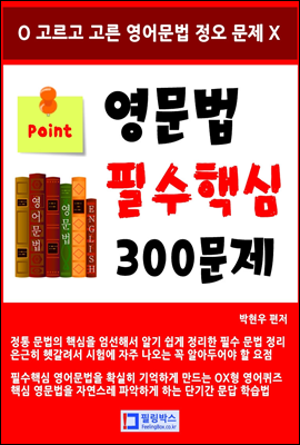  ʼٽ 300 (Ŀ̹)