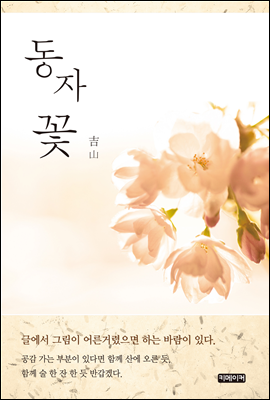 ڲ (Ŀ̹)